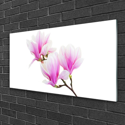 Foto schilderij op glas Bloemen plant nature