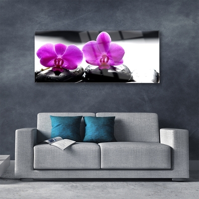 Foto schilderij op glas Orchideebloemen nature