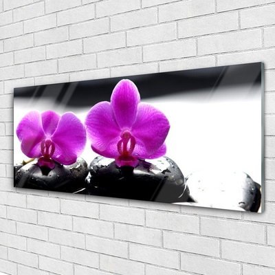 Foto schilderij op glas Orchideebloemen nature