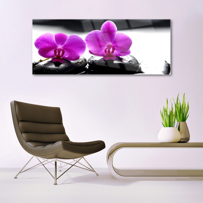 Foto schilderij op glas Orchideebloemen nature