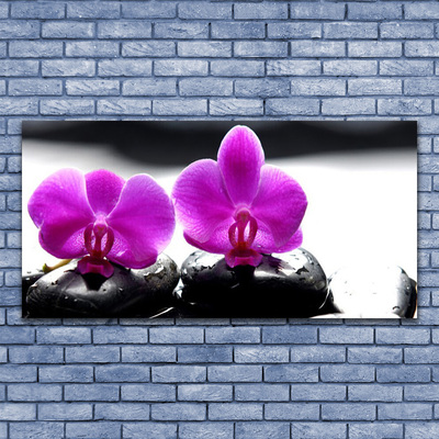 Foto schilderij op glas Orchideebloemen nature