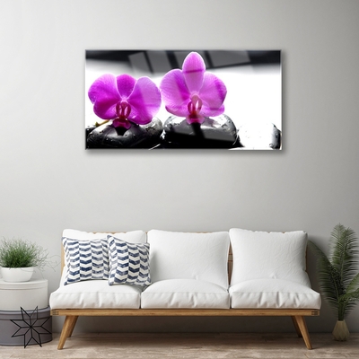 Foto schilderij op glas Orchideebloemen nature