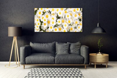 Foto schilderij op glas Madeliefjes bloemen