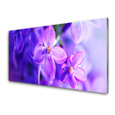 Foto schilderij op glas Bloemen purple nature