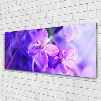 Foto schilderij op glas Bloemen purple nature