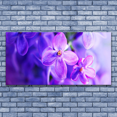 Foto schilderij op glas Bloemen purple nature