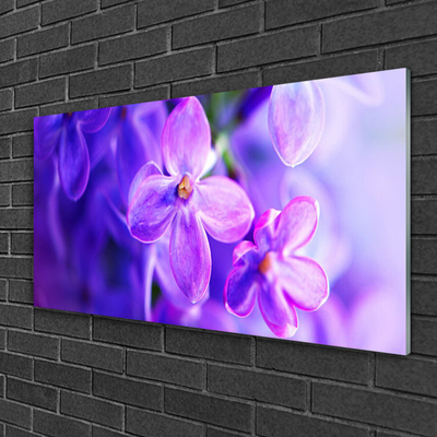 Foto schilderij op glas Bloemen purple nature