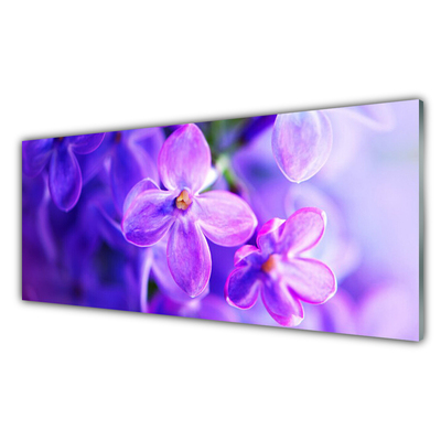 Foto schilderij op glas Bloemen purple nature