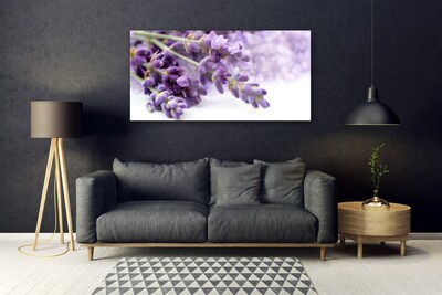 Foto schilderij op glas Bloemen natuur planten