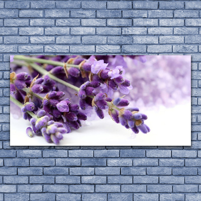 Foto schilderij op glas Bloemen natuur planten