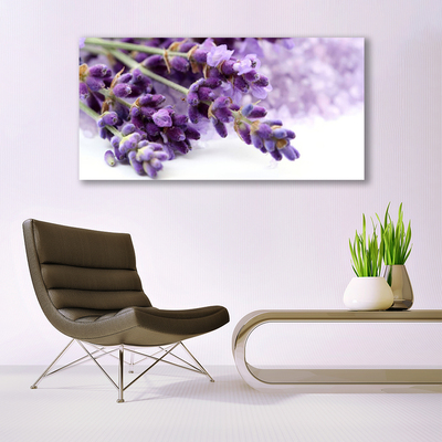 Foto schilderij op glas Bloemen natuur planten