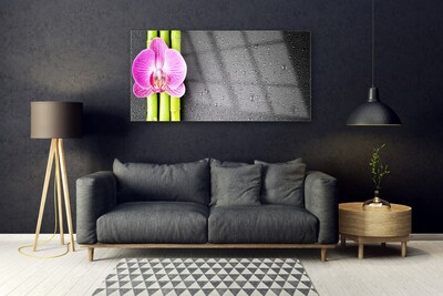 Foto schilderij op glas Bamboo orchid flowers