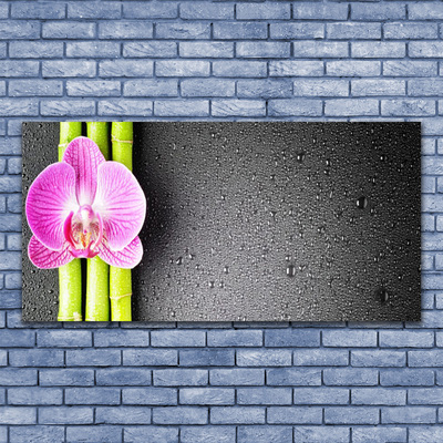 Foto schilderij op glas Bamboo orchid flowers