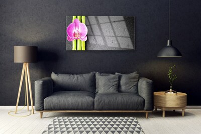 Foto schilderij op glas Bamboo orchid flowers