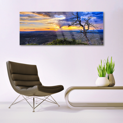 Foto schilderij op glas Zonsondergang van de boom