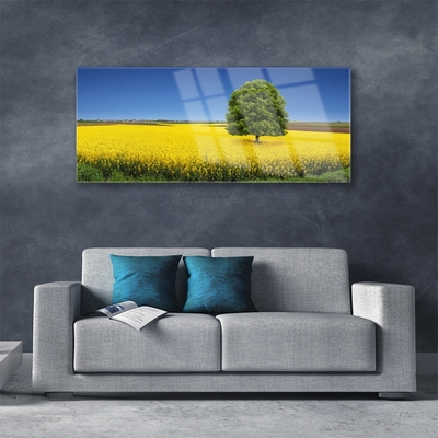 Foto schilderij op glas Tree meadow nature field