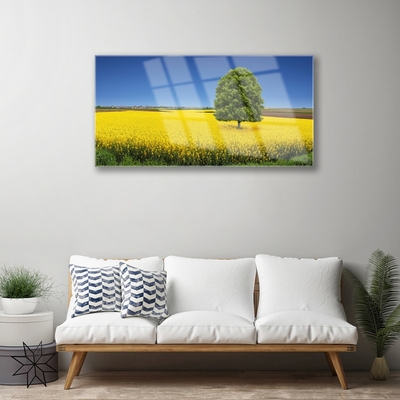 Foto schilderij op glas Tree meadow nature field