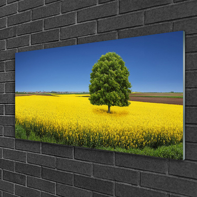 Foto schilderij op glas Tree meadow nature field