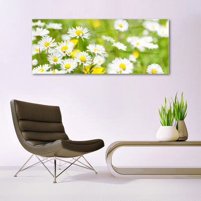 Foto schilderij op glas Daisy flower plant