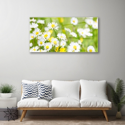 Foto schilderij op glas Daisy flower plant