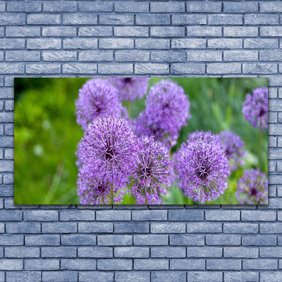 Foto schilderij op glas Purple weidebloemen