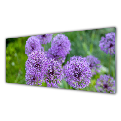 Foto schilderij op glas Purple weidebloemen