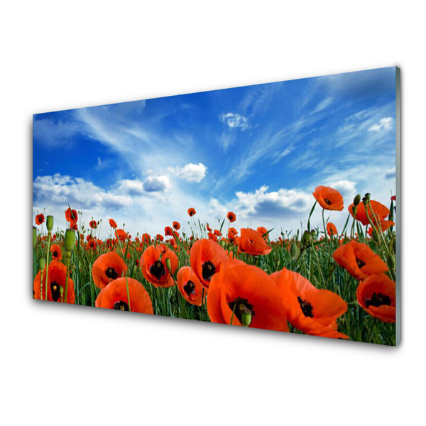 Foto schilderij op glas Meadow poppies bloemen