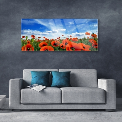 Foto schilderij op glas Meadow poppies bloemen