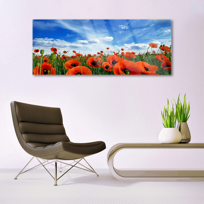 Foto schilderij op glas Meadow poppies bloemen