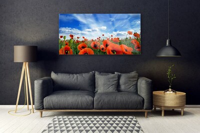 Foto schilderij op glas Meadow poppies bloemen