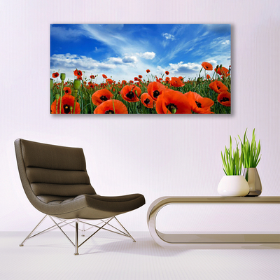 Foto schilderij op glas Meadow poppies bloemen