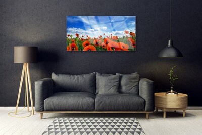 Foto schilderij op glas Meadow poppies bloemen