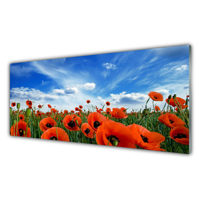 Foto schilderij op glas Meadow poppies bloemen