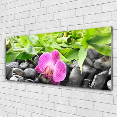 Foto schilderij op glas Orchideebloemen plant