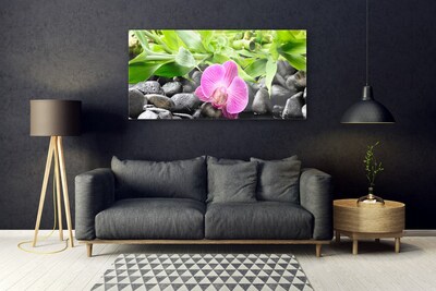 Foto schilderij op glas Orchideebloemen plant