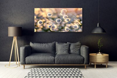 Foto schilderij op glas Bloemen plant nature