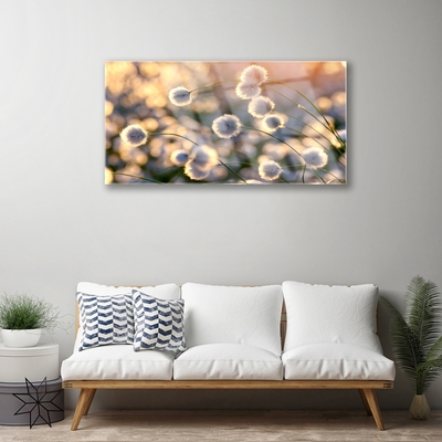 Foto schilderij op glas Bloemen plant nature