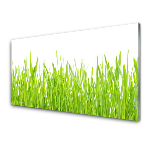 Foto schilderij op glas Grass nature plant