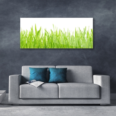 Foto schilderij op glas Grass nature plant