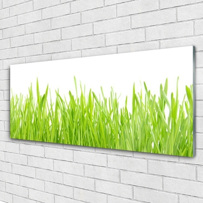 Foto schilderij op glas Grass nature plant