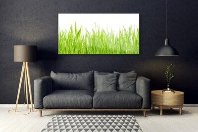 Foto schilderij op glas Grass nature plant