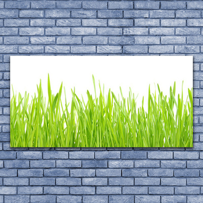 Foto schilderij op glas Grass nature plant