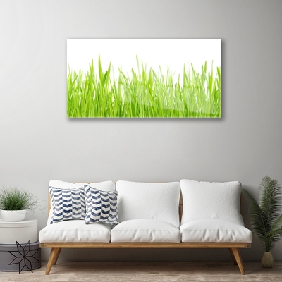 Foto schilderij op glas Grass nature plant