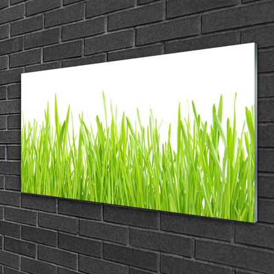 Foto schilderij op glas Grass nature plant