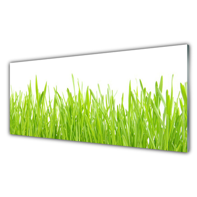 Foto schilderij op glas Grass nature plant