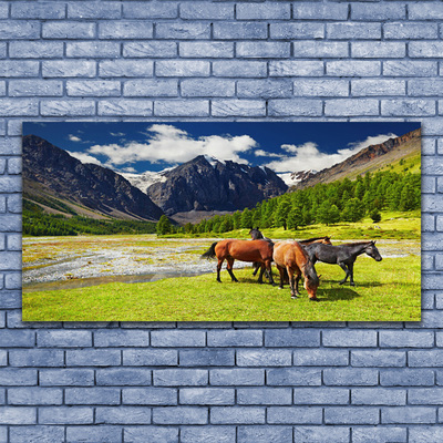 Foto schilderij op glas Bergen bomen paarden dieren