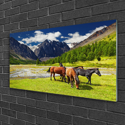 Foto schilderij op glas Bergen bomen paarden dieren