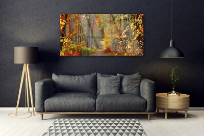 Foto schilderij op glas Autumn forest nature