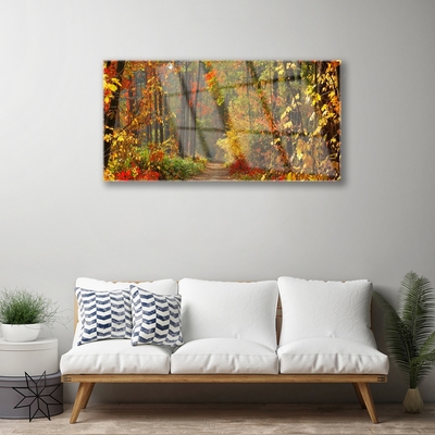 Foto schilderij op glas Autumn forest nature