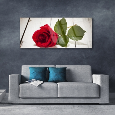 Foto schilderij op glas Rose flower plant natuur